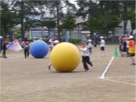 p1660490.jpg