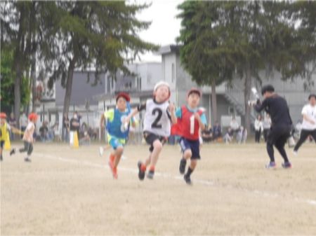 p1660614.jpg