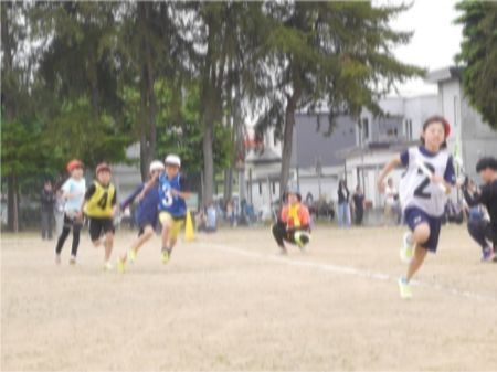p1660628.jpg