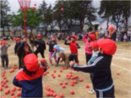 dscf9517.jpg