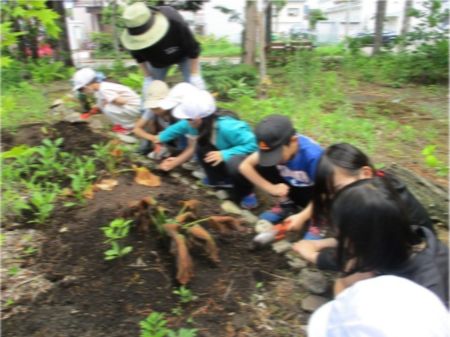 img_0628.jpg